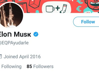 Fake Elon Musk