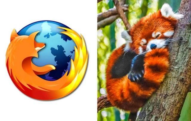 Did You Know: The Firefox Logo Is Not Actually A Fox!