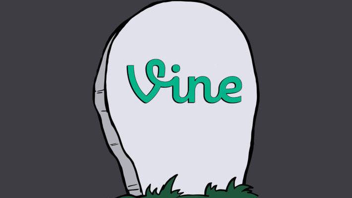 vine