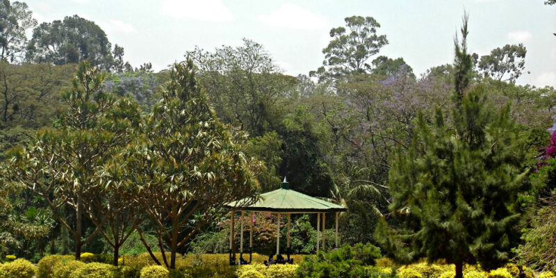 Nairobi City park