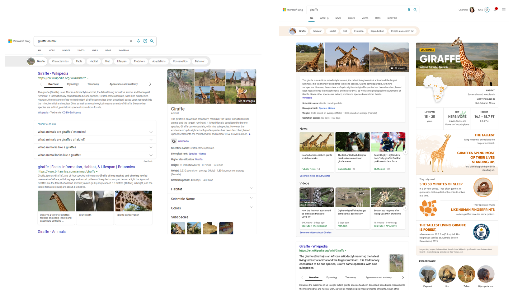 Bing: Before and After