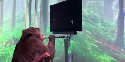 neuralink monkey elon musk