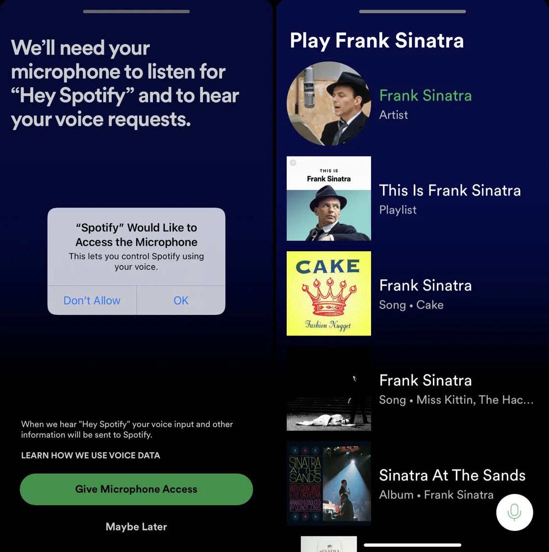 Spotify Voice