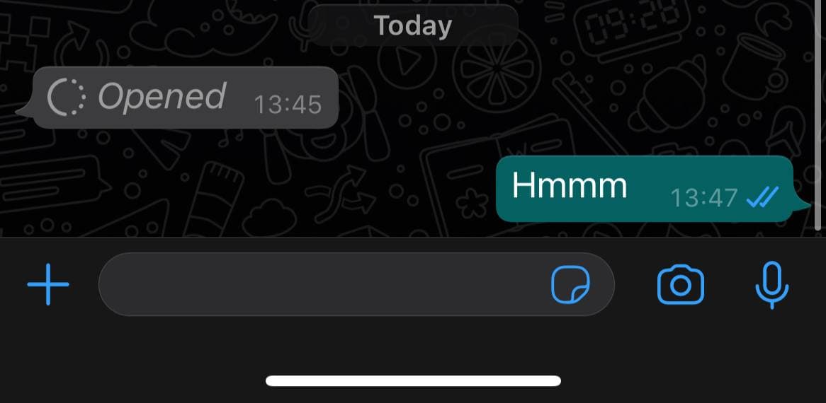 WhatsApp Disappearing Photos