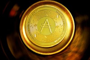 Everything About The Altcoins One Must Know