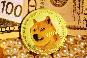 The Rise of Dogecoin: A Case Study in Social Media and Cryptocurrency