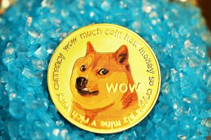 Safeguarding Your Dogecoin Investments from Potential Pitfalls