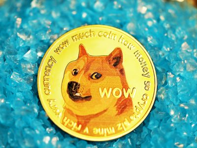 Safeguarding Your Dogecoin Investments from Potential Pitfalls - Partner Content