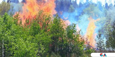 Google Wildfire Boundary Tracker is Now Available in Kenya